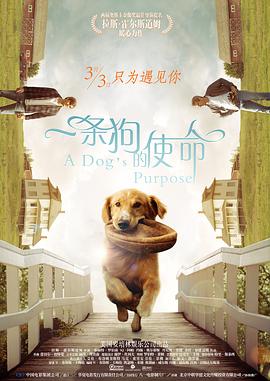 HD免费在线播放